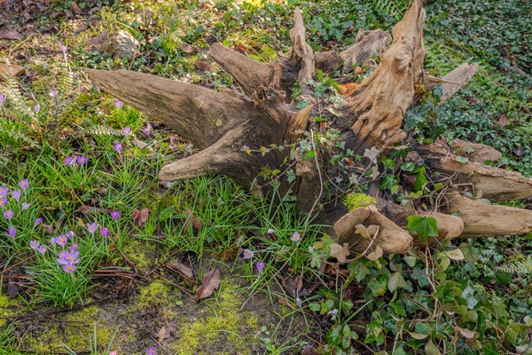 Medium property photo - Graaf de Hompeschstraat 2, 6109 AK Ohé en Laak